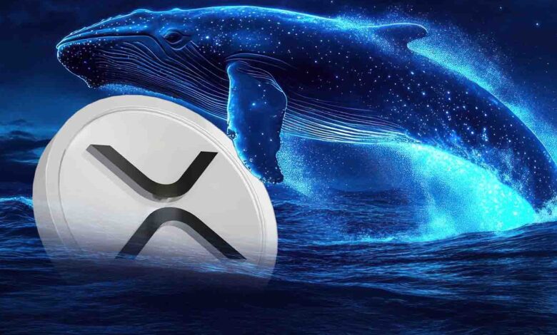 حوت عملاق يراهن بمبلغ 6 ملايين دولار على XRP
