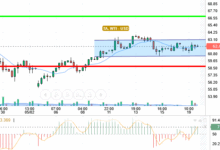OIL / USD