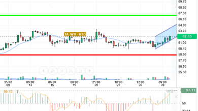 OIL / USD
