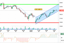OIL / USD