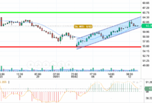 OIL / USD