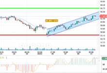OIL / USD