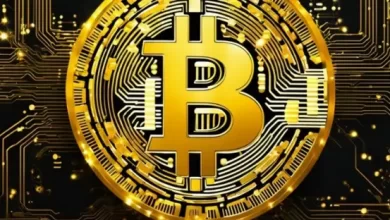 كشفت شركة أركام عن المزيد من حيازات بيتكوين الخاصة بشركة ستراتيجي