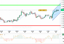 EURO / USD