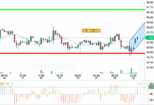 OIL / USD