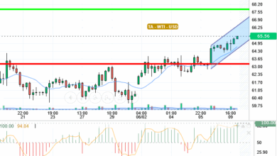 WTI / USD