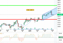 WTI / USD
